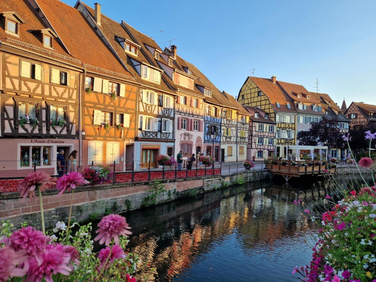 Home La Petite Porte - Petite Venise - Кольмар Экстерьер фото